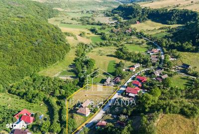 Casă cu 2 camere cu Teren 3463 Mp în Aluniș - 17