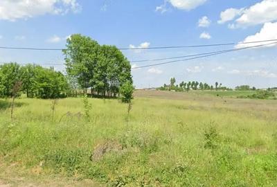 Teren de 12828 mp, în Cernica
