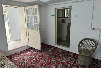 Teren de 8000 mp, în Dealu Mare - 1