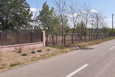 Casă cu 6 camere în Ograda