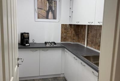 Apartament cu 2 camere semidecomandat, mobilat în Cișmigiu - 11