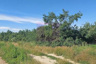 Teren de 3500 mp, în Săbăreni