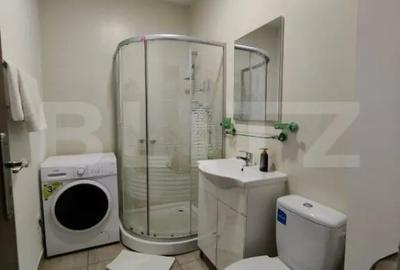 Apartament cu 2 camere semidecomandat în Bariera Vâlcii - 4
