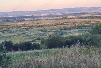 Teren de 1800 mp, în Poplaca - 3
