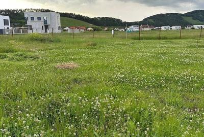 Teren de 620 mp, în Sânpetru - 3