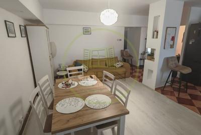 Apartament cu 3 camere decomandat, mobilat în Brazda lui Novac