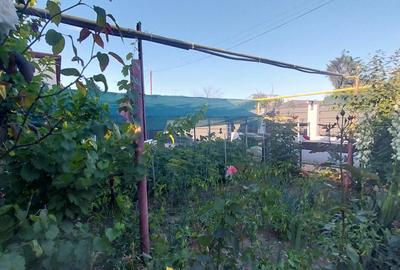 Casă individuală cu 4 camere cu Canalizare în Sud - 14