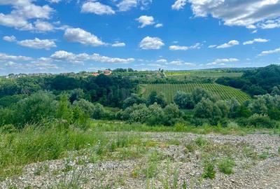 Teren intravilan de 670 mp, în Vișani - 10