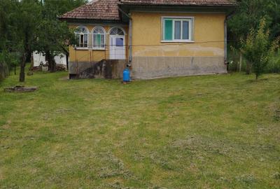 Casă cu 2 camere în Mociu