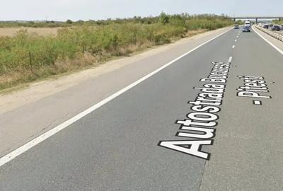 Teren de 28000 mp, în Ciupa-Mănciulescu