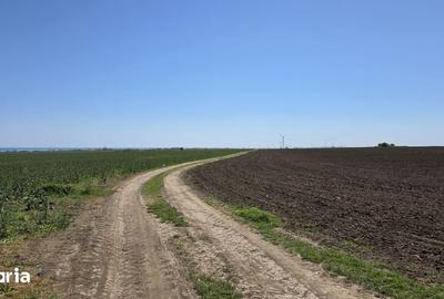 Teren de 2000 mp, în Corbu - 2