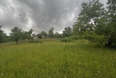 Teren de 30 mp, în Copalnic - 1