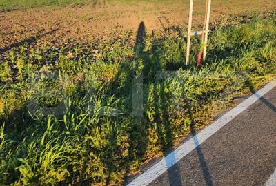 Teren agricol extravilan de 10000 mp, în Săcălaz