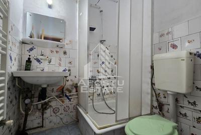 Apartament cu 4 camere decomandat, mobilat în Lipovei - 12