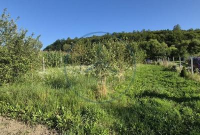 Casă în Valea