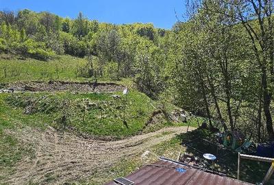 Casă cu 1 camere cu Teren 19000 Mp în Groș