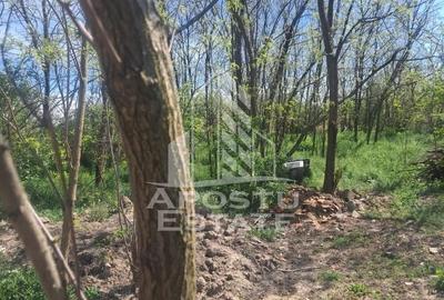 Casă individuală cu 2 camere cu Canalizare în Cruceni - 18