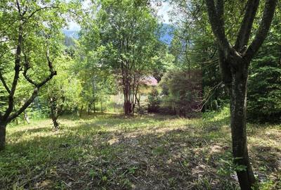 Teren Construcții intravilan de 780 mp, în Furnica - 2