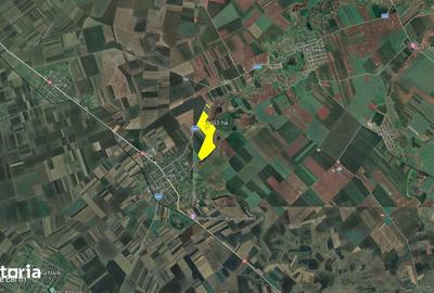 Teren de 1030000 mp, în Biled - 1