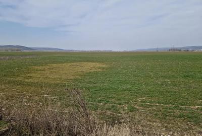 Teren de 3300 mp, în Șimnicu de Sus - 2