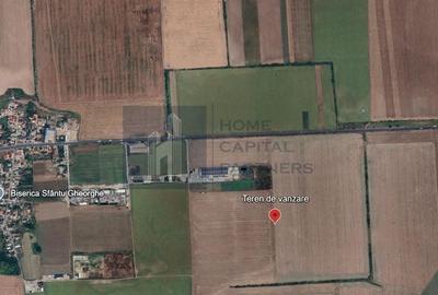 Teren de 15000 mp, în Găneasa - 3