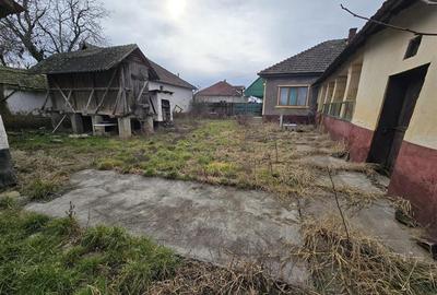 Casă individuală cu 3 camere cu Teren 7900 Mp în Boiu - 9