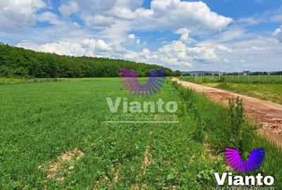 Teren agricol extravilan de 500 mp, în Turnișor