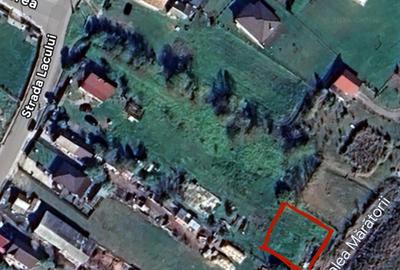Teren Construcții intravilan de 800 mp, în Dezmir