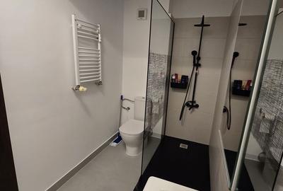 Apartament cu 2 camere decomandat în Valea Ialomiței - 7