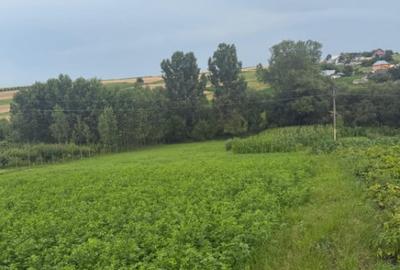 Casă cu 2 camere cu Teren 2100 Mp în Bălcăuți