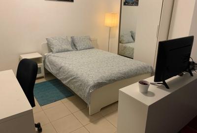 Garsonieră nedecomandată în Cișmigiu - 2