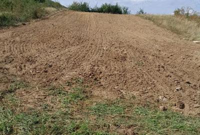 Teren de 1800 mp, în Poplaca - 4