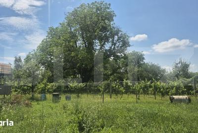 Teren de 5488 mp, în Păulești - 15