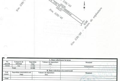 Teren agricol extravilan de 10000 mp, în Vadu - 4