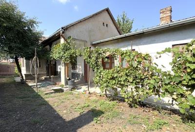 Casă individuală cu 4 camere cu Teren 615 Mp în Carei - 2