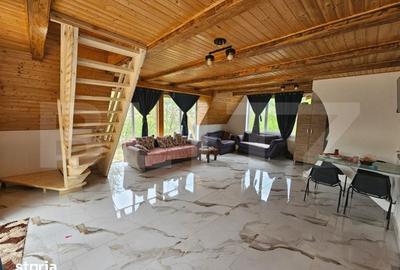 Casă cu 4 camere cu Teren 4565 Mp în Avram Iancu - 6