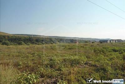 Teren Construcții intravilan de 6186 mp, în Florești - 2