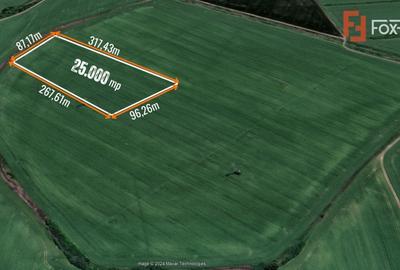 Teren agricol extravilan de 25000 mp, în Mehala - 2