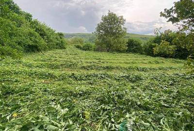 Teren agricol extravilan de 2200 mp, în Rădaia