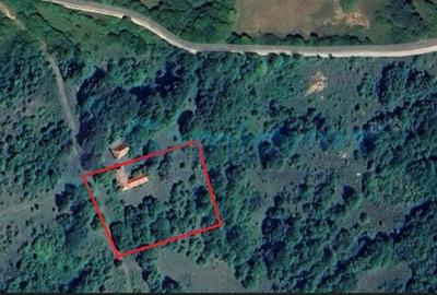 Casă individuală cu 3 camere cu Teren 3500 Mp în Tomnatic