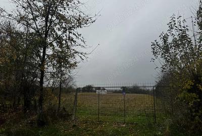 Teren de 3575 mp, în Lăceni - 1