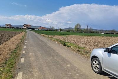 Teren de 7526 mp, în Băcia - 1