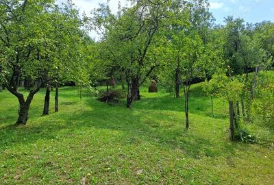 Teren în Șotrile - 4