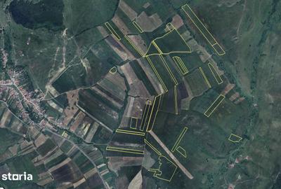 Teren de 500000 mp, în Bunești - 1