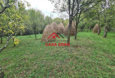 Teren Construcții intravilan de 5991 mp, în Șotrile - 4