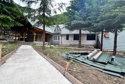Casă cu 4 camere în Lepșa - 8