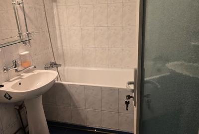 Apartament cu 2 camere semidecomandat în Săsar - 4