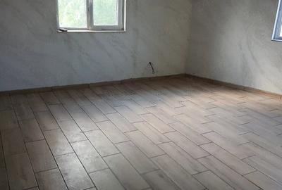 Casă cu Teren 124 Mp în Brăilița