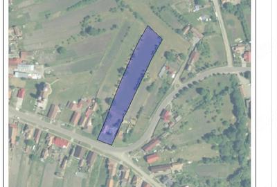 Casă cu 2 camere cu Teren 4600 Mp în Dedrad - 4