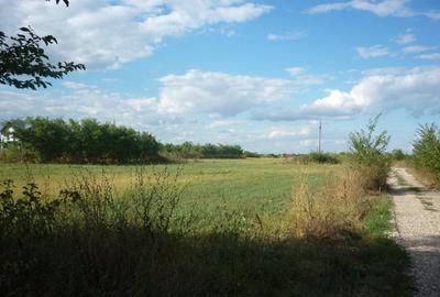 Teren Construcții intravilan de 5000 mp, în Periș - 1